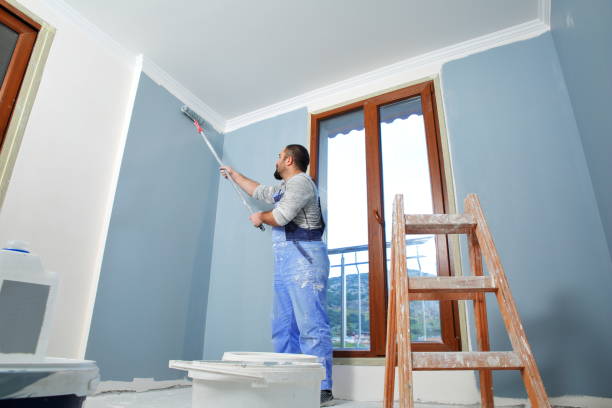 Best Mold Odor Removal Services  in Alpine, CA